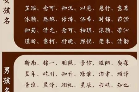 宝宝起名字库大全：为宝宝挑选最适合的名字指南