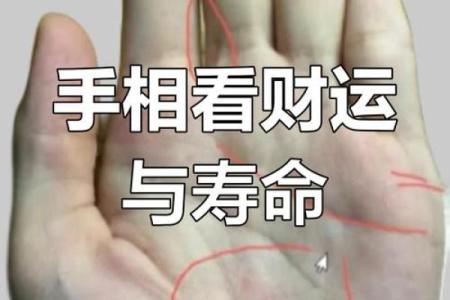 从手纹看财富运势：哪些掌纹象征富贵
