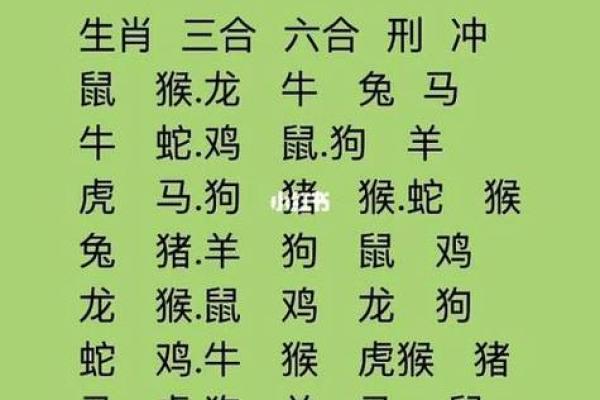 属龙的最佳配对：揭示十二生肖最理想的缘分组合