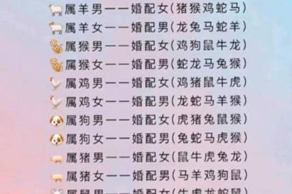 属兔与属马的爱情与婚姻兼容性探讨