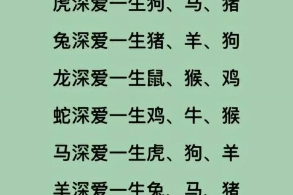 属兔与属马的爱情与婚姻兼容性探讨