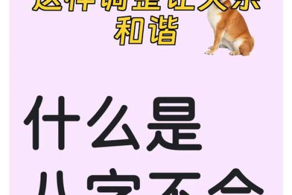 八字不合影响婚姻，如何找到最合适的解决方法？
