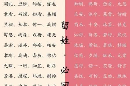 新生儿名字选择的流行风向