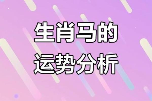 出生生肖命运解读