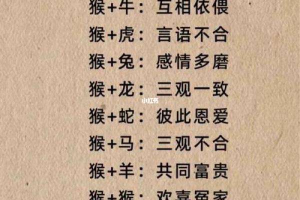 猪猴相配明星搭配引发的星座运势大解析