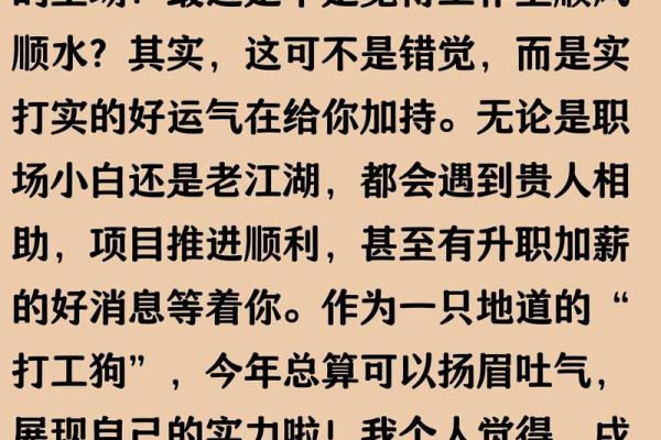 属狗运程大解析：今年的好运与挑战