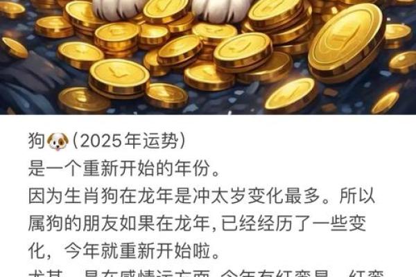 属狗运程大解析：今年的好运与挑战