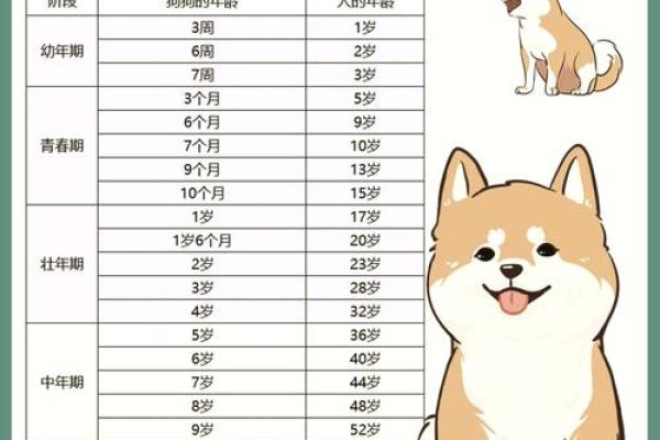 出生属狗人的命运解析与性格分析