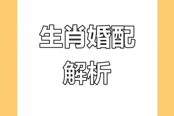 属龙女和属鸡男：性格契合与婚姻前景探讨