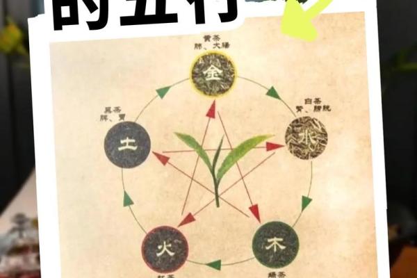 木水土五行对健康的深远影响解析