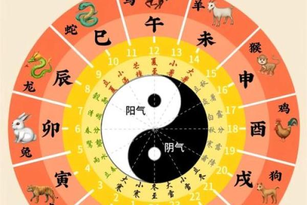 十二生肖未来一年运势走向全解析