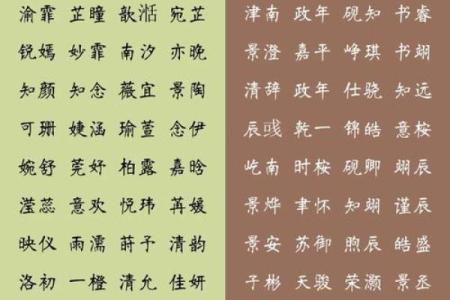 宝宝起名字技巧：如何为孩子挑选一个既好听又好学的名字