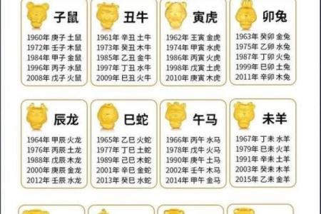 八字模型中的五行平衡与性格分析