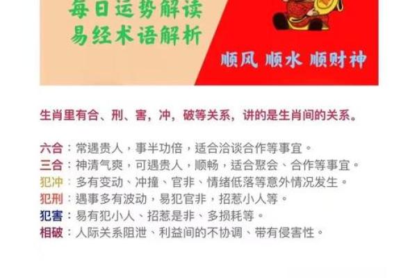 壬戌八字的独特魅力，你不能不知道的秘密