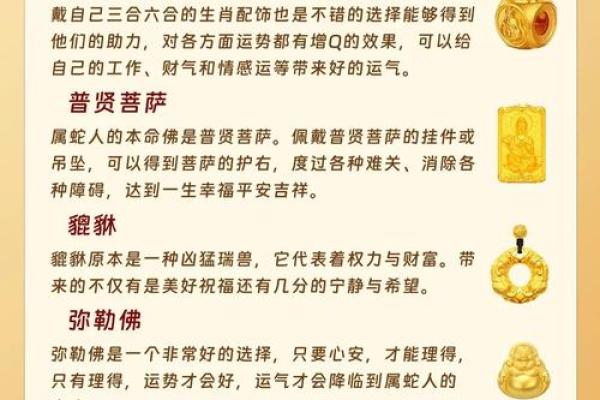 本命年蛇女如何保持事业动力