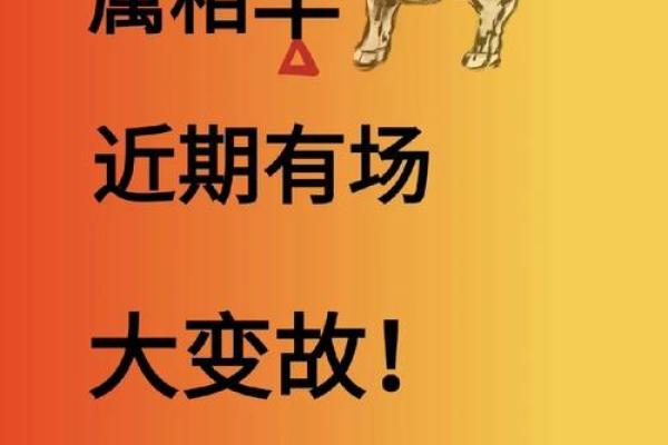本命年羊女应该如何调整心态度过难关
