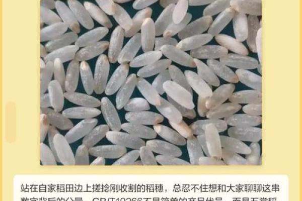 从稻田到餐桌:为米选择合适名字的技巧 从稻田到餐桌:为米选择合适名字的技巧