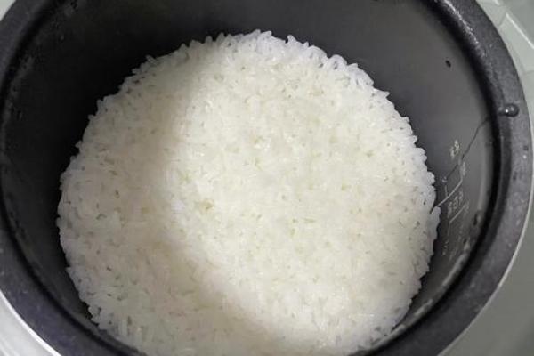 从稻田到餐桌:为米选择合适名字的技巧 从稻田到餐桌:为米选择合适名字的技巧
