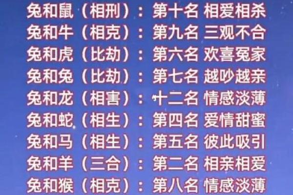 本命年兔男的人际关系调节技巧