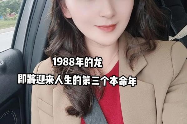 龙女本命年的财富增长计划