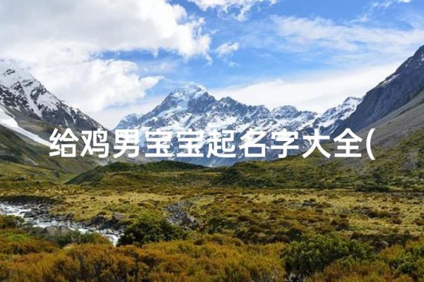 男孩鸡宝宝名字大全精选推荐 男孩鸡宝宝名字大全精选推荐