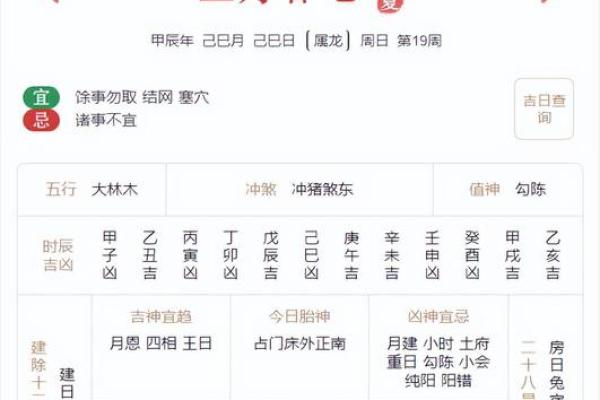 每月生肖运程详解,助你规划全年生活 每月生肖运程详解,助你规划全年生活