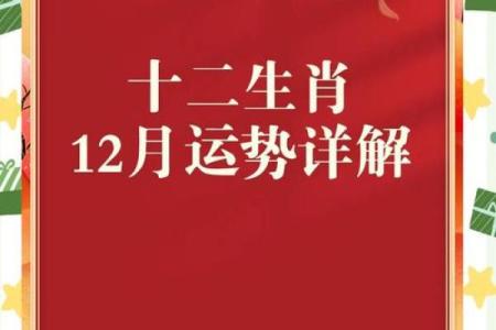 属马人在的运势解析