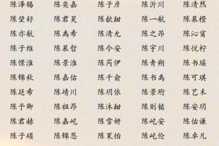 陈姓宝宝取名的最佳推荐与寓意解析