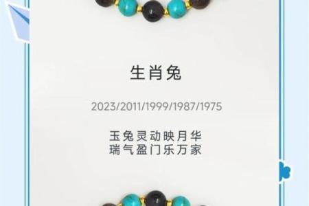 兔男本命年适合进行哪些投资
