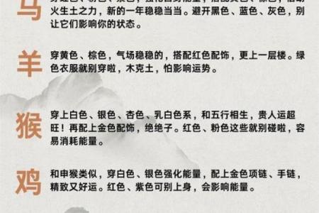 生肖运程指南：你的幸运与挑战