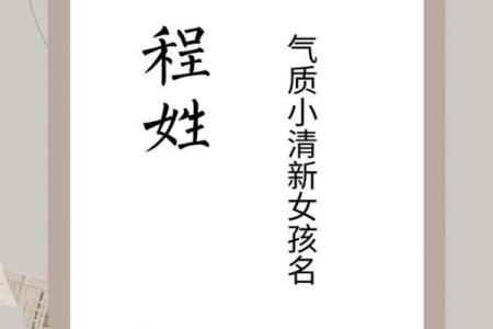 程女孩名字的独特寓意与选择技巧