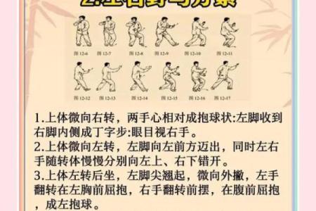 从五行看太极：掌握五行调和的修炼法