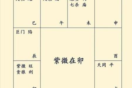 命通是什么意思及其深层含义解析