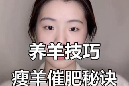 本命年羊女应该如何调整心态度过难关