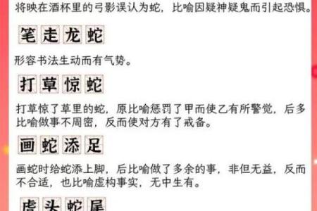 蛇与虎配对分析：从性格到命运的深度解读
