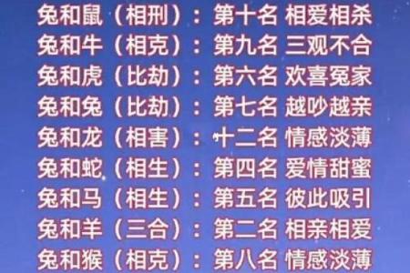 本命年兔男的人际关系调节技巧