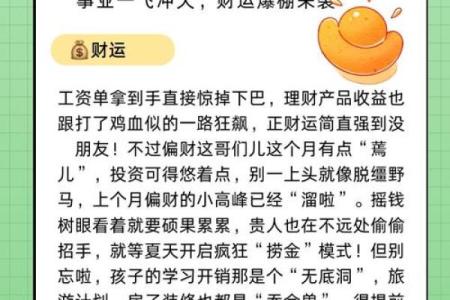 属鼠人在本命年如何做出重要决策