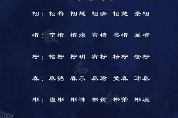 安康起名公司推荐:如何选择最合适的服务 安康起名公司推荐:如何选择最合适的服务