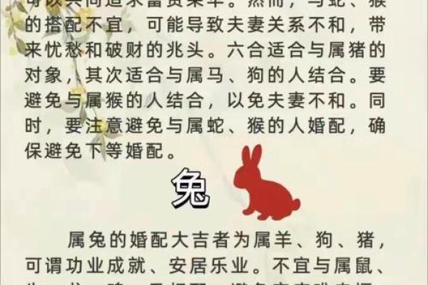 女蛇男狗婚姻是否和谐?生肖配对分析与建议 女蛇男狗婚姻是否和谐?生肖配对分析与建议