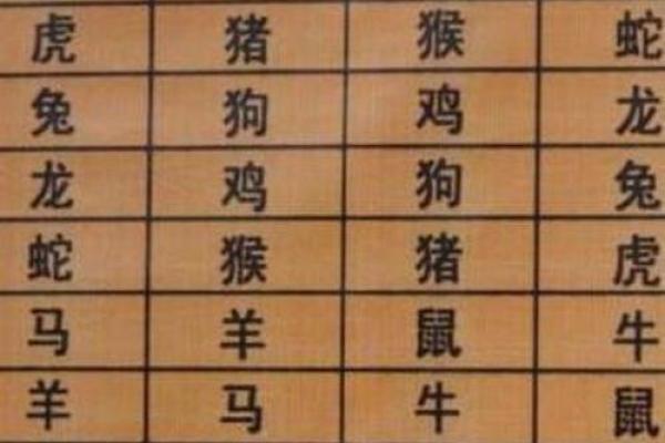 女蛇男狗婚姻是否和谐?生肖配对分析与建议 女蛇男狗婚姻是否和谐?生肖配对分析与建议