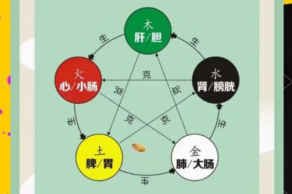 出生五行分析,揭开你命运的秘密 出生五行分析,揭开你命运的秘密