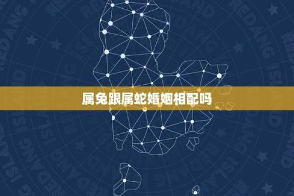 属蛇与属兔的配对合适吗?深入分析两者关系 属蛇与属兔的配对合适吗?深入分析两者关系
