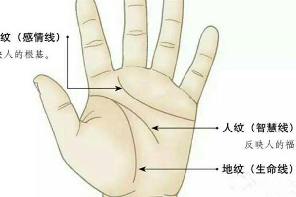 曹字的五行属性解析:揭开名字背后的命运玄机 曹字的五行属性解析:揭开名字背后的命运玄机