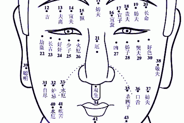 曹字的五行属性解析:揭开名字背后的命运玄机 曹字的五行属性解析:揭开名字背后的命运玄机