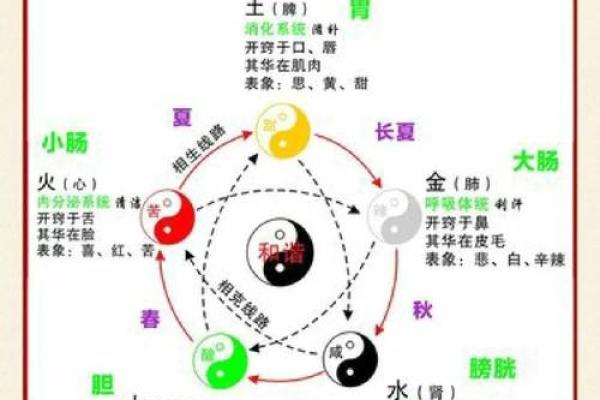 蟲的五行分析:揭开五行与虫类的神秘联系 蟲的五行分析:揭开五行与虫类的神秘联系