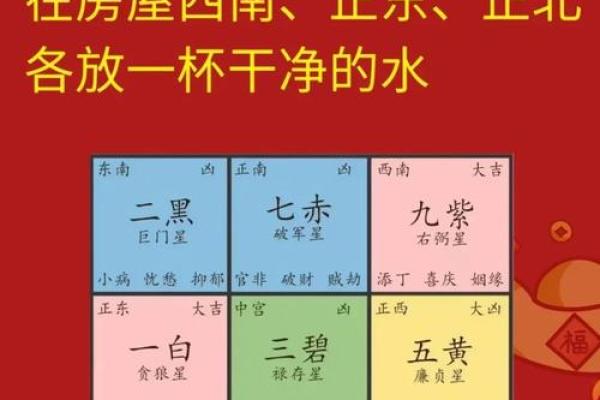 逼龙风水图的设计技巧与风水效果提升 逼龙风水图的设计技巧与风水效果提升