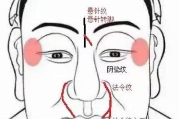 从眉毛看风水:你是否知道这些面相秘密 从眉毛看风水:你是否知道这些面相秘密