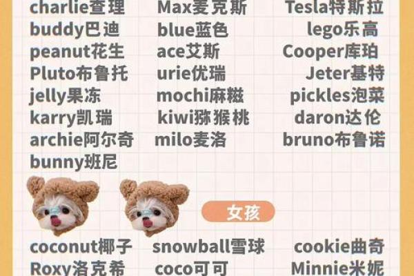 创意十足的狗狗男孩名字推荐 创意十足的狗狗男孩名字推荐