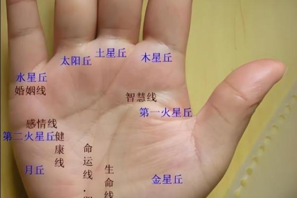 从手指看命运,富贵之人有哪些特征 从手指看命运,富贵之人有哪些特征