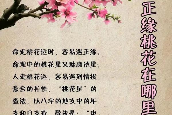 八字命理分析:你的命运走向如何看? 八字命理分析:你的命运走向如何看?